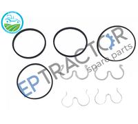 Kit guarnizioni pompa idraulica 3100439M91 adatto a Massey Ferguson 265, 285,...