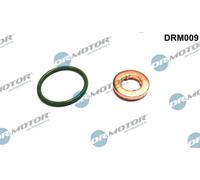Originale Dr. Motor Automotive Set Guarnizioni Iniettore DRM009 per Audi Seat