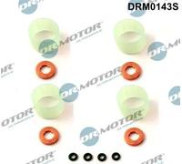 Kit guarnizioni punta iniettore DRM0143S Dr.Motor Automotive per FORD CITROËN DS