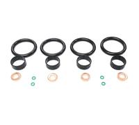 Kit guarnizioni punta iniettore DRM016SL Dr.Motor Automotive per FORD CITROËN
