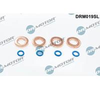 Kit guarnizioni punta iniettore DRM019SL Dr.Motor Automotive per FORD FOCUS II