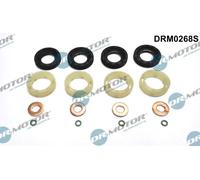 Dr.Motor Automotive Kit Di Guarnizioni Iniettore Per Fiat Scudo 272 270 1.6 D