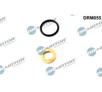 Kit guarnizioni punta iniettore DRM055 Dr.Motor Automotive per AUDI A6 C5 A4 B5