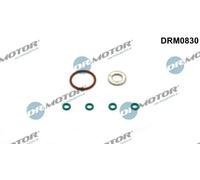 Kit guarnizioni punta iniettore DRM0830 Dr.Motor Automotive per VW SEAT AUDI