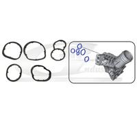 Kit guarnizioni radiatore olio 76101 3RG