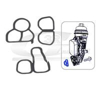 Kit guarnizioni radiatore olio 76501 3RG