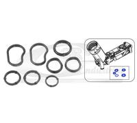 Kit guarnizioni radiatore olio 76802 3RG