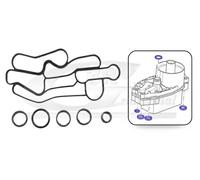 Kit guarnizioni radiatore olio 76901 3RG