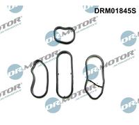 Kit guarnizioni radiatore olio Carter filtro olio DRM01845S Dr.Motor Automotive