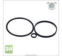 Kit guarnizioni Radiatore olio Maxgear per CITROEN C-ELYSEE BERLINGO XSARA NEMO