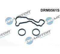 Kit guarnizioni, Radiatore olio per AUDI VW A4 A5 A6 A8 PHAETON Q5 Q7 TOUAREG