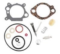Kit GUARNIZIONI REVISIONE CARBURATORE Motore Compatibile con Briggs&Stratton Compatibile con Quantum Power INTEK