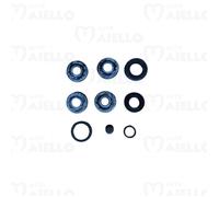 KIT GUARNIZIONI REVISIONE PINZA POST MICROCAR MC1 MC2