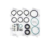 Kit Guarnizioni Riparazione Pompa Iniezione 1.3 Multijet 70 - 75 CV con paraoli