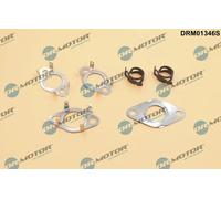 DR.MOTOR AUTOMOTIVE DRM01346S Kit guarnizioni, Sistema-EGR