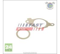 Kit guarnizioni Sistema-EGR Fast per ALFA ROMEO MITO AUDI A6 A4 CITROEN NEMO DA