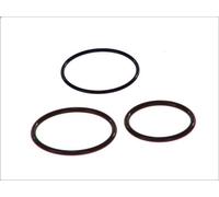 Kit guarnizioni, ugello iniettore BOSCH per IVECO TRAKKER II 12.882 2012-