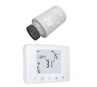 Kit Homcloud: Cronotermostato Digitale Wi-Fi + 1 Valvola Termostatica