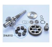 Kit Ingranaggi Polini Con Attacco Piaggio Per Moto Ricambi Accessori Parti