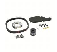 Kit ispezione Piaggio, completo, ZAPM44100, ZAPM44300, anno 2006-2008, 1R000391