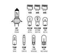 LEXD Kit Lampade Di Ricambio 11 Pz Alogena H7 - 12V