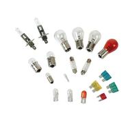Kit lampade di ricambio 19 pz, alogena 2x H1 12V 15 + 4 fusibili Omologazione