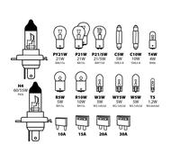 Kit lampadine di ricambio 19 pezzi H4 12V + lampadine stop e direzione + fusibil
