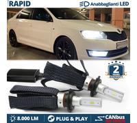 Kit Lampadine LED per Skoda RAPID Anabbaglianti H7 Luce Bianca CANbus 8000LM