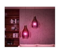 Kit LED di avvio LED collegato Philips Hue White - 10,5W - Lotto 2 E27 - Remoto Hue Controllo