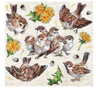 Kit Letistitch per punto croce contato "Passeri", 23x22cm