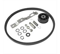 Kit leva tenditore e cinghia per lavatrice 959P3 per sistemi di lavanderia ALLIANCE SWNYC2HP115TW02 LWS01M, sostituire 2020782