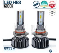 Kit Luci LED HB3 CANbus Professionale Auto Luce Bianca POTENTE 8000L Plug & Play