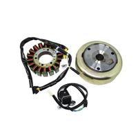 Kit magnete 18 poli 4 fili bobina grilletto volano rotore compatibile con motore scooter ATV buggy 172 mm 250 cc