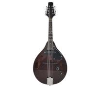 Kit Mandolino Professionale Strumento Musicale Strumento A Corde Per Mandolino Elettrico A Otto Corde Per Principianti Professionisti Con Un Bell'aspetto(F)