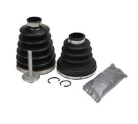 GKN 305776 prodotti di gleichlauf gel. AUS