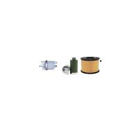Kit Manutenzione Filtro Per Ammann AVH6020 Dh W/ Hatz 1B30-6 Ing. 2012-