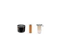 Kit Manutenzione Filtro Per Avant Multi 20hp / Ps Carburante Aria Olio W/Kubota