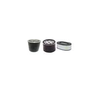 Kit Manutenzione Filtro Per Holland Sollevatore B 195 DL 25 Olio Aria Benzina W/
