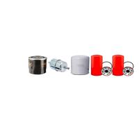 Kit Manutenzione Filtro Per Ransomes T30