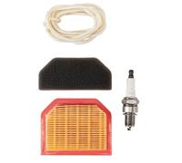 Kit manutenzione per piastra vibrante Scheppach hp1200s hp1800s hp2000s hp2200s