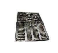 Kit Maschi e Filiere 110 Pezzi | Set Filettatura da M2 a M14 con Passi Fini | Valigetta Professionale in Acciaio per Riparazioni e Officina