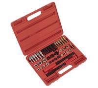 Kit Master Re-Filettatore Sealey 42 Pezzi Metrici AK311