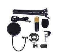Kit Microfono a Condensatore, Set Microfono da Studio BM800 con Supporto per Braccio, Kit Tappo in Schiuma con Filtro Anti-pop per Registrazione in Studio o Trasmissione