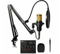 Kit Microfono Condensatore Scheda Audio V8 Braccio a Forbice Sospensione Regol