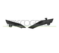 PRASCO PG6501225 Cornice, Faro principale