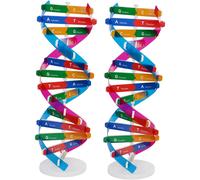Kit modello di doppia elica fai da te, 2 pezzi, kit di DNA scientifico, modello molecolare autoassemblante per l'insegnamento in classe di biologia