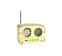 Kit Modello di Ricevitore Radio FM Wireless DIY, Strumento Sperimentale di Fisica e Scienze, Giocattolo Educativo per Progetti Scientifici Scolastici.
