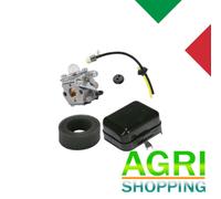 Kit Modifica Carburatore Adattabile a Decespugliatori ALPINA Vip - Efco - etc...