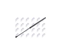 NTY Molla a gas bagagliaio AE-RE-027 per Renault Modus/Grand Modus L=533 mm 515 N