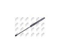NTY Molla a gas Cilindro portellone per Renault Grande Modus F/JP0_8200461349 L533mm F750N